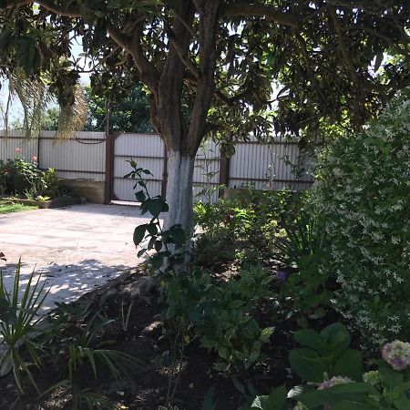 Guest House Evkalipt Oczamczyra Zewnętrze zdjęcie