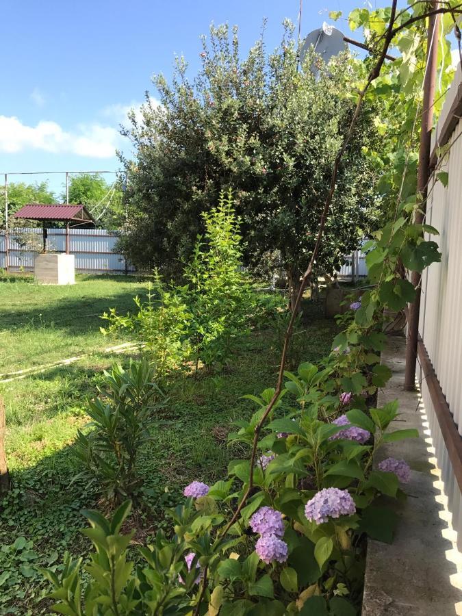 Guest House Evkalipt Oczamczyra Zewnętrze zdjęcie