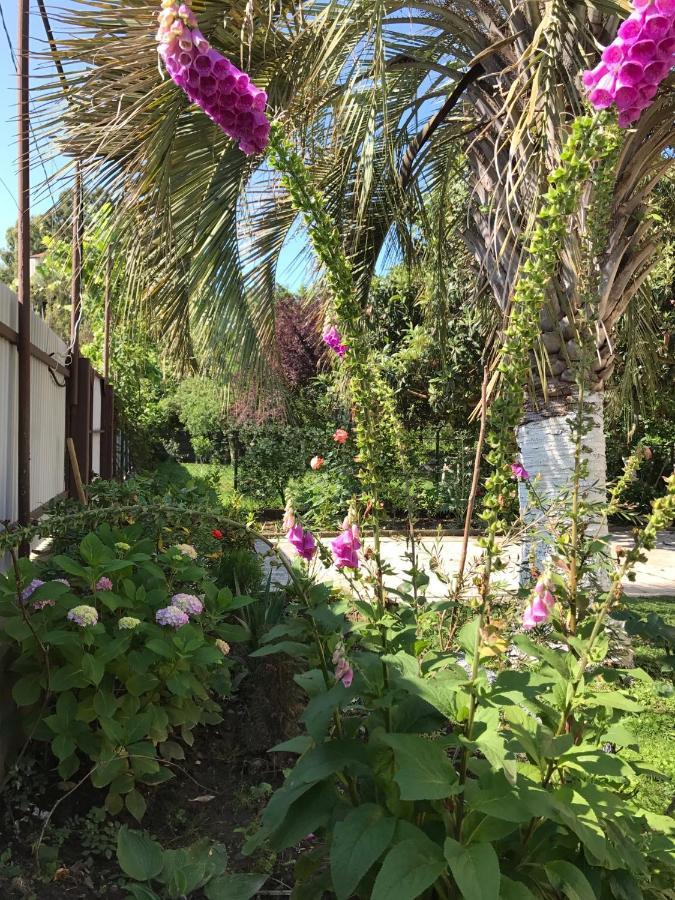 Guest House Evkalipt Oczamczyra Zewnętrze zdjęcie
